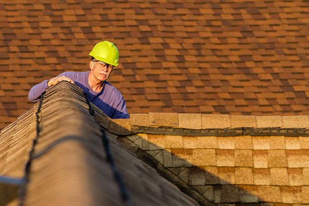 Roof Gutter Cleaning in Valparaiso, IN